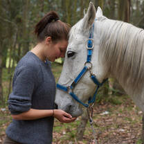 Volunteer with Animal Therapy in Ecuador