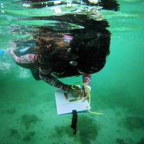 Great Barrier Reef Conservation