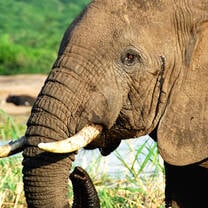 Sustainable Development in Rwanda