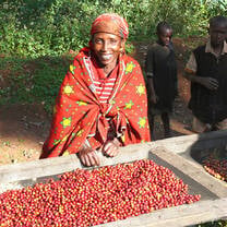 Sustainable Development in Rwanda