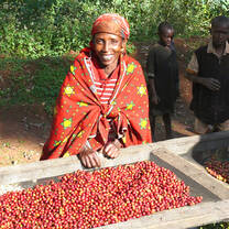 Entrepreneurship & Social Innovation in Rwanda