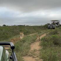 view from truck 