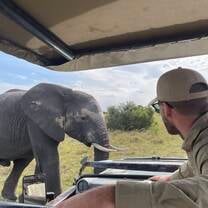 a man looks on an elephant  