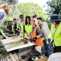 Environmental Conservation in New Zealand with Love Volunteers!