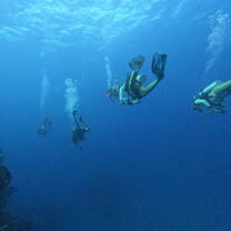 Scuba Diving!!