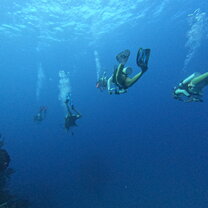 Scuba Diving!!