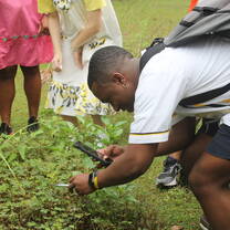 Student learning about plants used by the Garinagu people