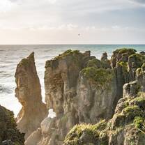 Environmental Conservation in New Zealand with Love Volunteers!