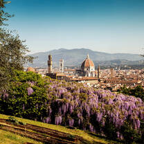 The view from Unicollege's hill overlooking Florence