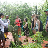 Students exploring the biodiversity of the Galápagos Islands