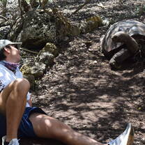 Student getting up close and personal with a giant tortoise