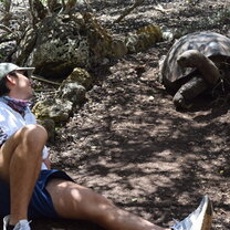 Student getting up close and personal with a giant tortoise