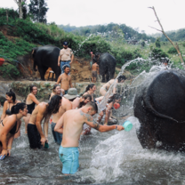 Thailand Interns