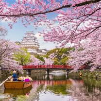 Japan cherry blossoms