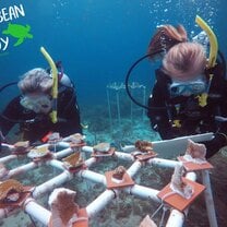 Our Research Divemasters working on the tables at the nursery
