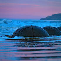 Moeraki Boulders