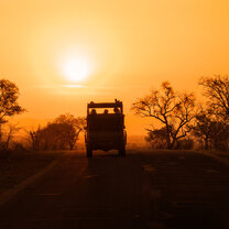 Big 5 - sunset
