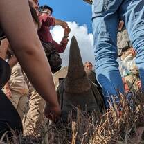 Rhino horn during vet work