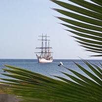 A tall ship at anchor behind a palm tree