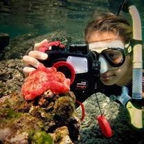 Rock Pool Snorkel