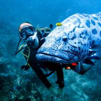 Scuba Dive