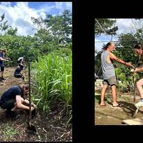 Volunteer work