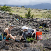 Rustic Pathways Hawaii
