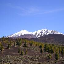 Teide