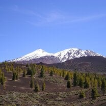 Teide