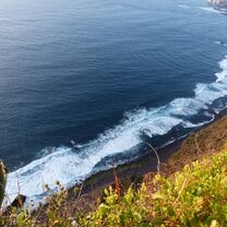 Wild coastal exp