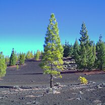 Hiking national park
