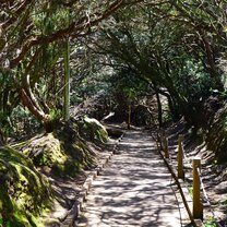 Trail Anaga
