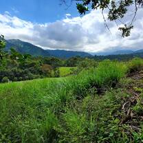 Volunteer in Environmental Conservation with LV!