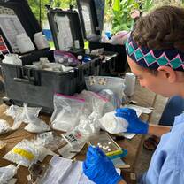 Work in the pharmacy