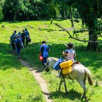 Hike through the jungle