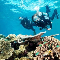 Volunteer in Environmental Conservation with LV!