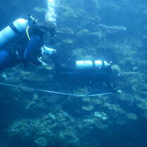 Invertebrate research