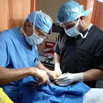 Surgery
