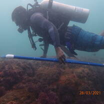 Participant conducting quadrat data collection