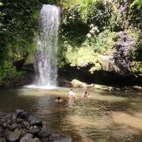 Volunteer in Environmental Conservation with LV!
