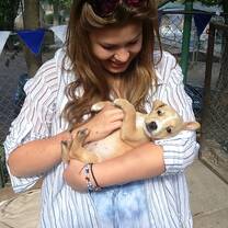 Volunteer in Wildlife Conservation with LV!