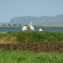Volunteer in Environmental Conservation with LV!