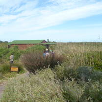 Volunteer in Environmental Conservation with LV!