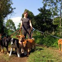 Volunteer in Wildlife Conservation with LV!