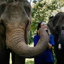 Volunteer in Wildlife Conservation with LV!