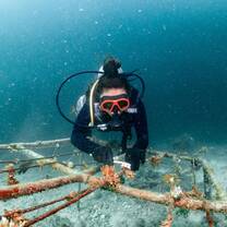 Maintaining Coral Nurseries
