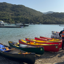 Fleet of canoes