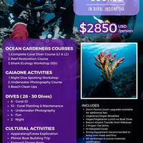Details of the Course 