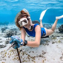 plant corals while freediving