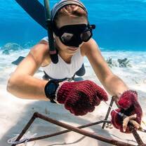 Freediving while planting